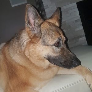 Meet your Posher, Caitlin